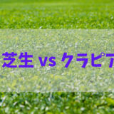 芝生 vs クラピア